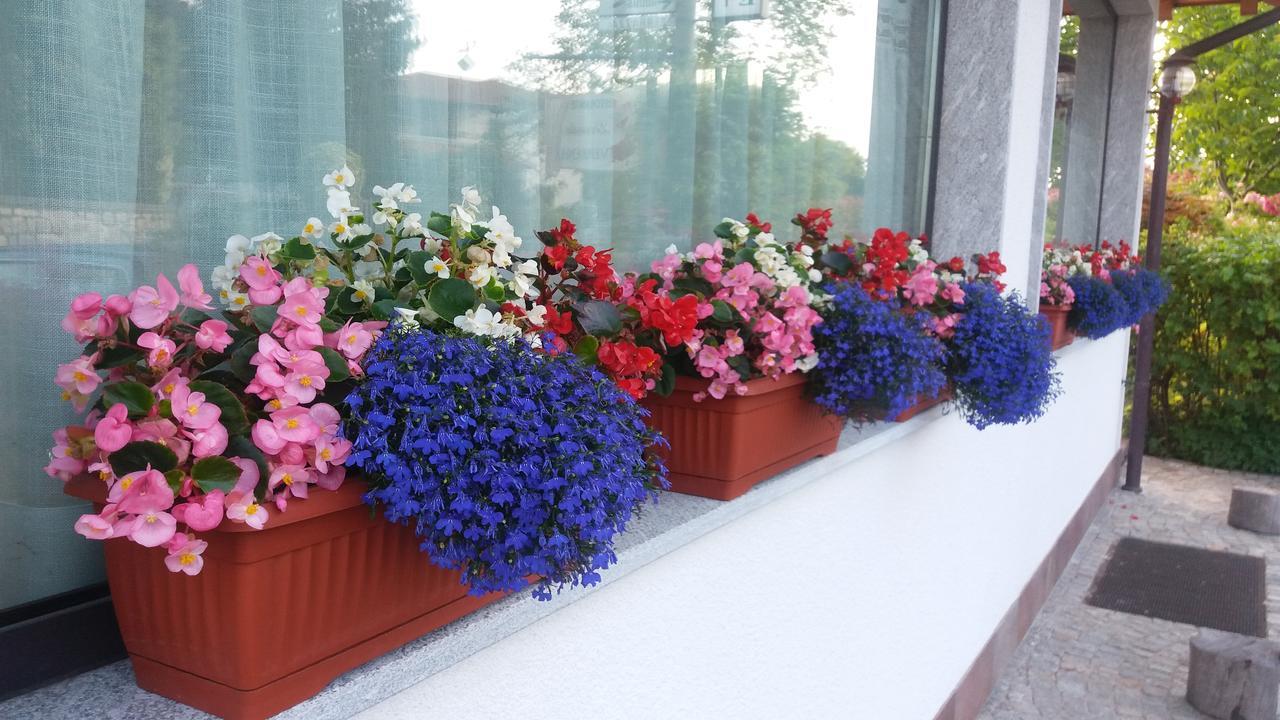 Verbena Bed & Breakfast